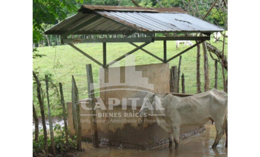 SE VENDE FINCA GANADERA EN DOS BOCAS - SON