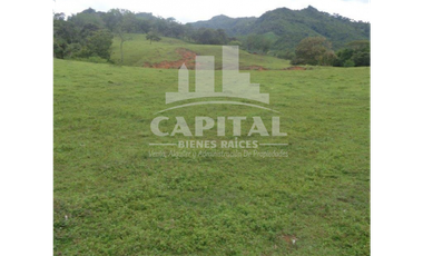 SE VENDE FINCA GANADERA EN DOS BOCAS - SON
