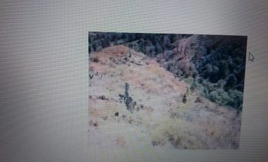 VENTA DE TERRENAZO  AGROPECUARIO 75443 mts