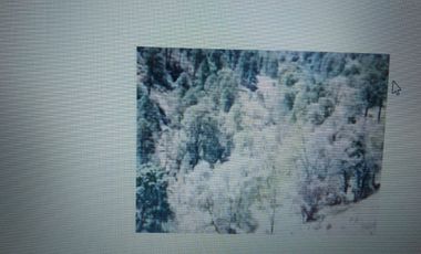 VENTA DE TERRENAZO  AGROPECUARIO 75443 mts