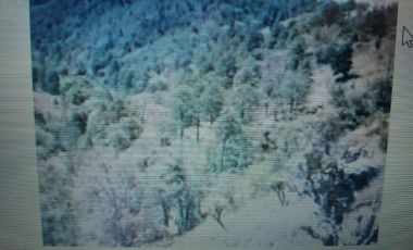 VENTA DE TERRENAZO  AGROPECUARIO 75443 mts