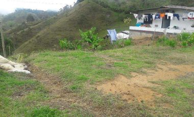 Vendo esta preciosa casa finca en Barbosa, a 13 minutos de  Santo Domingo.