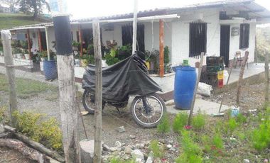 Vendo esta preciosa casa finca en Barbosa, a 13 minutos de  Santo Domingo.