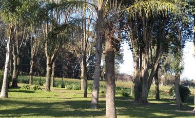 Casa - M.Paz Rural
