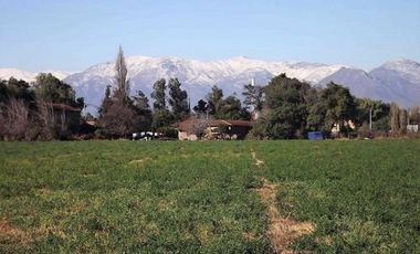 Sitio en Venta en Espectacular terreno urbano comercial en San Felipe