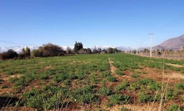 Sitio en Venta en Espectacular terreno urbano comercial en San Felipe