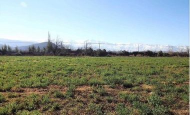 Sitio en Venta en Espectacular terreno urbano comercial en San Felipe