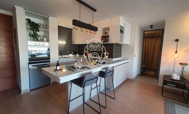 NUEVOS SIN COMISION 3D 2B Roof Top Privado en Providencia