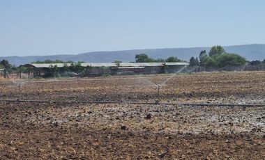 Venta Precioso Rancho en Aguascalientes al Pie de Carretera muy Completo