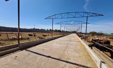 Venta Precioso Rancho en Aguascalientes al Pie de Carretera muy Completo