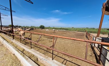 Venta Precioso Rancho en Aguascalientes al Pie de Carretera muy Completo