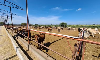Venta Precioso Rancho en Aguascalientes al Pie de Carretera muy Completo