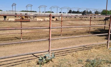 Venta Precioso Rancho en Aguascalientes al Pie de Carretera muy Completo