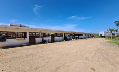 Venta Precioso Rancho en Aguascalientes al Pie de Carretera muy Completo
