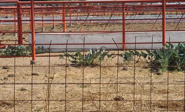 Venta Precioso Rancho en Aguascalientes al Pie de Carretera muy Completo