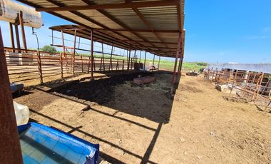 Venta Precioso Rancho en Aguascalientes al Pie de Carretera muy Completo