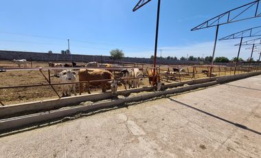 Venta Precioso Rancho en Aguascalientes al Pie de Carretera muy Completo