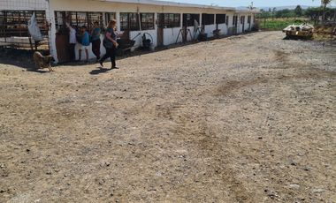 Venta Precioso Rancho en Aguascalientes al Pie de Carretera muy Completo