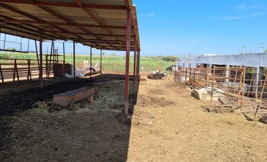 Venta Precioso Rancho en Aguascalientes al Pie de Carretera muy Completo