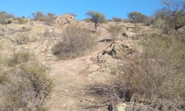 Ruta H-590/La Lengueta - Parcela - Venta