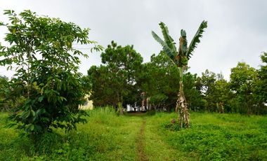 Farmland resort style property for sale at claveria mis. Or.