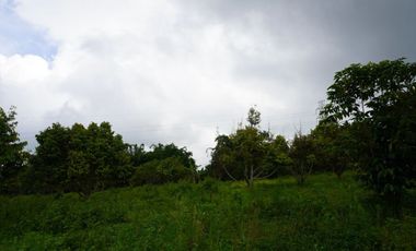 Farmland resort style property for sale at claveria mis. Or.