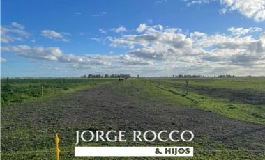 Campo en venta en La Plata. 195 Has mixtas, próximas a Ruta 2