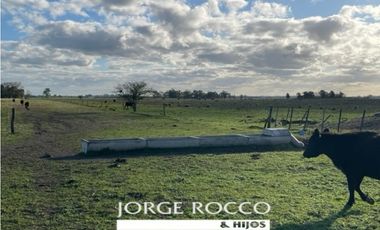 Campo en venta en La Plata. 195 Has mixtas, próximas a Ruta 2