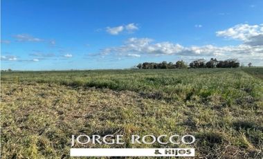 Campo en venta en La Plata. 195 Has mixtas, próximas a Ruta 2