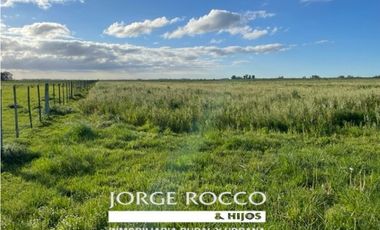 Campo en venta en La Plata. 195 Has mixtas, próximas a Ruta 2