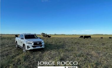 Campo en venta en La Plata. 195 Has mixtas, próximas a Ruta 2