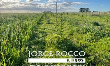 Campo en venta en La Plata. 195 Has mixtas, próximas a Ruta 2