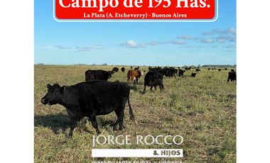 Campo en venta en La Plata. 195 Has mixtas, próximas a Ruta 2