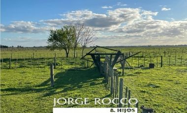 Campo en venta en La Plata. 195 Has mixtas, próximas a Ruta 2