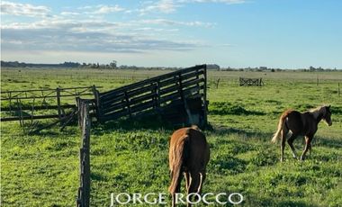 Campo en venta en La Plata. 195 Has mixtas, próximas a Ruta 2