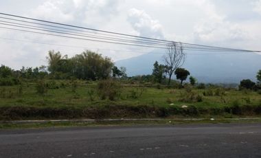 Jual Tanah di Raya panekan, magetan super murah nego sampai deal