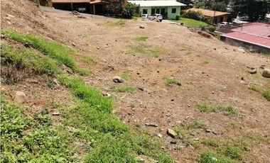 Se vende Terreno en La Industrial, La Chorrera MMM