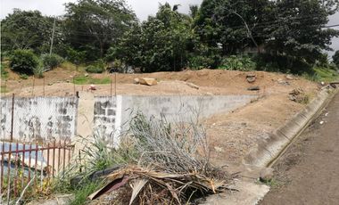 Se vende Terreno en La Industrial, La Chorrera MMM