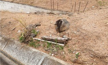 Se vende Terreno en La Industrial, La Chorrera MMM