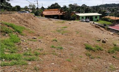 Se vende Terreno en La Industrial, La Chorrera MMM