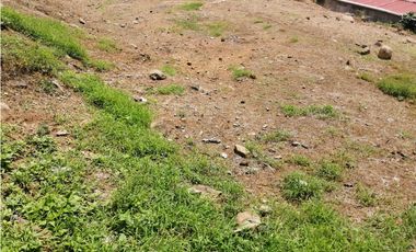 Se vende Terreno en La Industrial, La Chorrera MMM