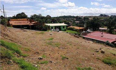 Se vende Terreno en La Industrial, La Chorrera MMM