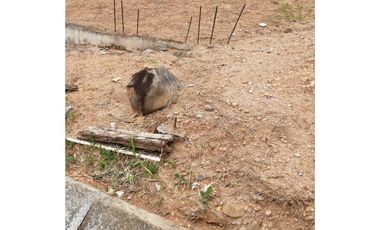 Se vende Terreno en La Industrial, La Chorrera MMM