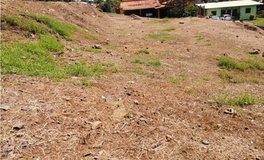 Se vende Terreno en La Industrial, La Chorrera MMM