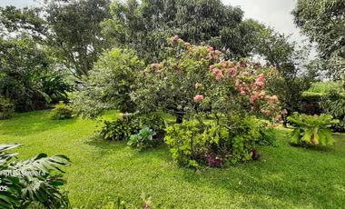 Casa campestre en venta via barcelona quindio