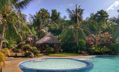 COMMERCIAL HOUSE WITH POOL FOR SALE ID 14651