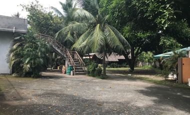 COMMERCIAL HOUSE WITH POOL FOR SALE ID 14651