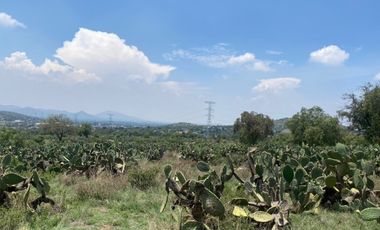 Teotihuacan terreno en venta