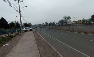 Se arrienda terreno con galpón y container en Buin