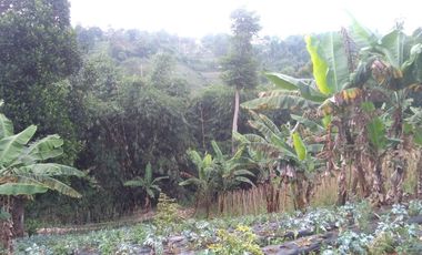 Dijual Tanah dekat Daerah wisata Dago dairy Tahura Bandung